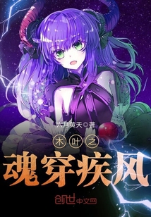 木葉之魂穿疾風