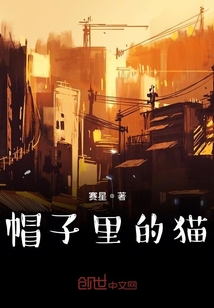 帽子里的貓