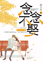 念念不娶在线阅读
