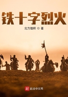 鐵十字烈火在線閱讀