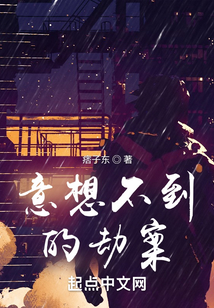 意想不到的劫案