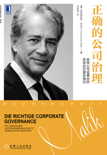 正確的公司治理：發揮公司監事會的效率應對復雜情況
