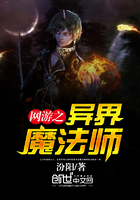 网游之异界魔法师在线阅读