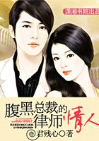 腹黑总裁的律师情人
