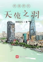 终结的炽天使之羽