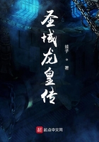 神域圣龍在線閱讀