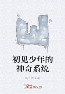初見少年的神奇系統(tǒng)