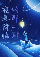 夜幕降臨的那一刻在線閱讀