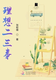 理想二三事