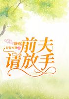锁婚:前夫请放手
