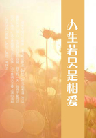 人生若只是相愛在線閱讀