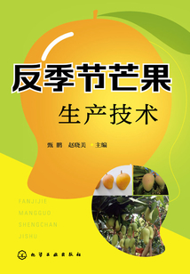 反季節(jié)芒果生產(chǎn)技術(shù)
