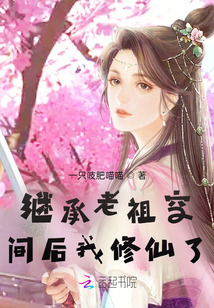 繼承老祖空間后我修仙了