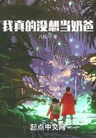 我真的没想当奶爸在线阅读