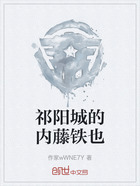 祁阳城的内藤铁也在线阅读