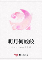 明月何皎皎在線閱讀