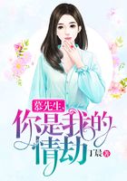 慕先生,你是我的情劫在线阅读