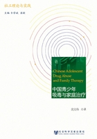 中国青少年吸毒与家庭治疗（社工理论与实践）在线阅读