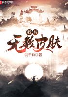 我有无数皮肤在线阅读