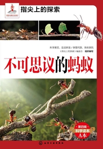 不可思議的螞蟻