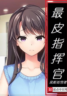 最皮指揮官