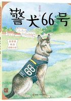 警犬66号