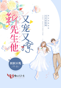 靳先生他又寵又撩