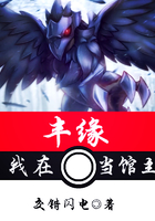 我在丰缘当馆主