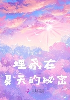 埋藏在夏天的秘密在線閱讀