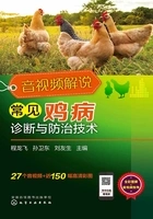 音视频解说常见鸡病诊断与防治技术在线阅读