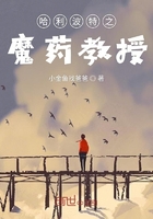 哈利波特之魔药教授在线阅读