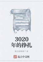 3020年的挣扎在线阅读