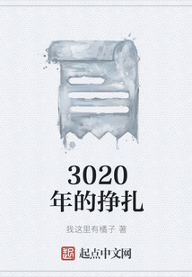 3020年的掙扎