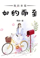 我的幸福如約而至在線閱讀