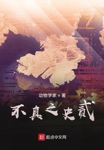 不真之史