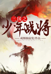三国之少年战将