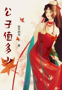 公子值多少