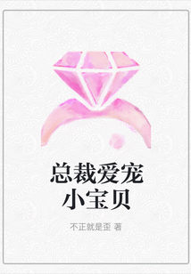 總裁愛寵小寶貝