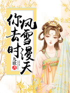 你去時，風雪漫天在線閱讀