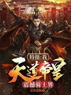 特摄:我,天道帝皇!震撼骑士界在线阅读