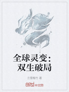全球灵变:双生破局在线阅读