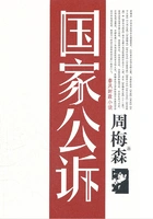 国家公诉在线阅读