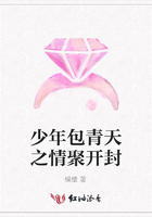 少年包青天之情聚開(kāi)封在線(xiàn)閱讀