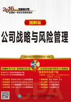 2016年度注册会计师全国统一考试专用辅导教材(图解版):公司战略与风险管理在线阅读