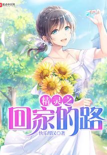 寵物小精靈之回家的路