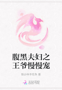 腹黑夫婦之王爺慢慢寵
