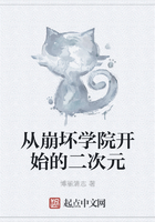 从崩坏学院开始的二次元