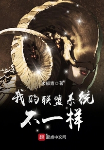 我的联盟系统不一样