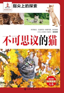 不可思議的貓