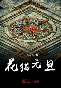 花貓元旦